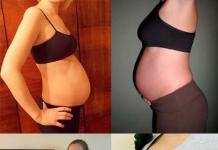 Питание во время беременности, шестой месяц 6 с половиной месяцев беременности